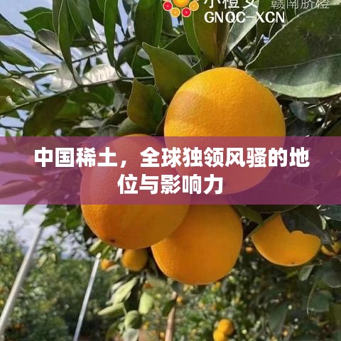 中國稀土，全球獨領(lǐng)風(fēng)騷的地位與影響力