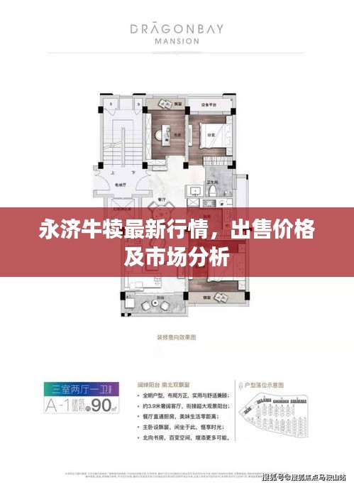 永濟(jì)牛犢最新行情，出售價(jià)格及市場(chǎng)分析