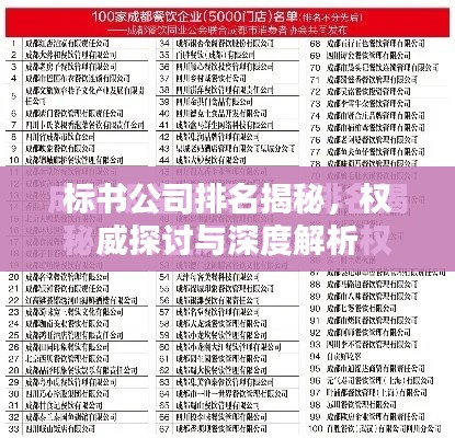 標(biāo)書公司排名揭秘，權(quán)威探討與深度解析