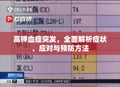 高鉀血癥突發(fā)，全面解析癥狀、應(yīng)對與預(yù)防方法