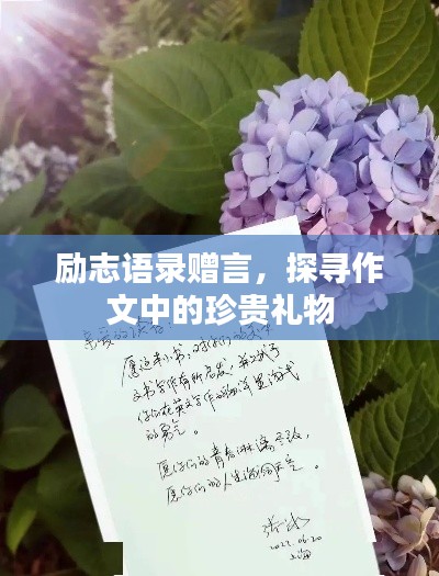 勵志語錄贈言，探尋作文中的珍貴禮物