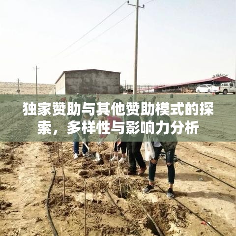 獨(dú)家贊助與其他贊助模式的探索，多樣性與影響力分析