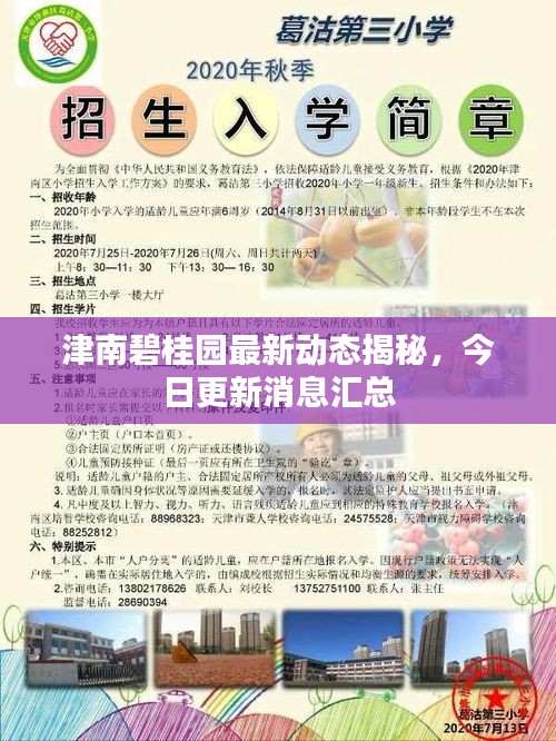 津南碧桂園最新動(dòng)態(tài)揭秘，今日更新消息匯總