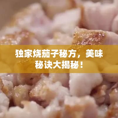 獨(dú)家燒茄子秘方，美味秘訣大揭秘！