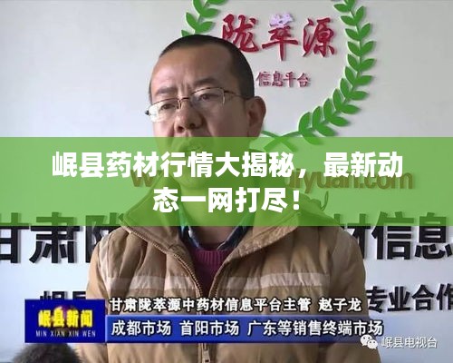 岷縣藥材行情大揭秘，最新動態(tài)一網(wǎng)打盡！