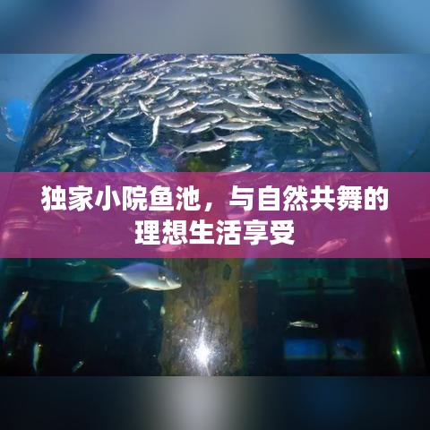 獨(dú)家小院魚(yú)池，與自然共舞的理想生活享受