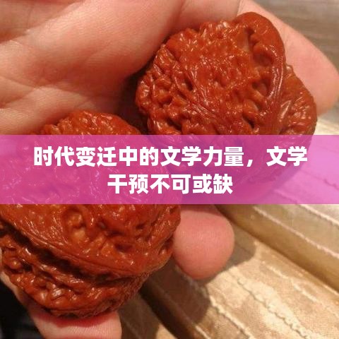 時(shí)代變遷中的文學(xué)力量，文學(xué)干預(yù)不可或缺