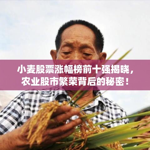 小麥股票漲幅榜前十強揭曉，農(nóng)業(yè)股市繁榮背后的秘密！