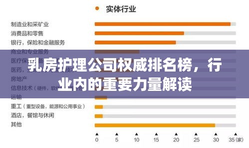 乳房護(hù)理公司權(quán)威排名榜，行業(yè)內(nèi)的重要力量解讀