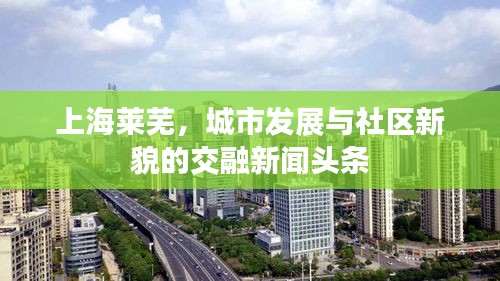 上海萊蕪，城市發(fā)展與社區(qū)新貌的交融新聞頭條