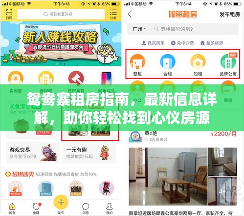 鴛鴦?wù)夥恐改?，最新信息詳解，助你輕松找到心儀房源