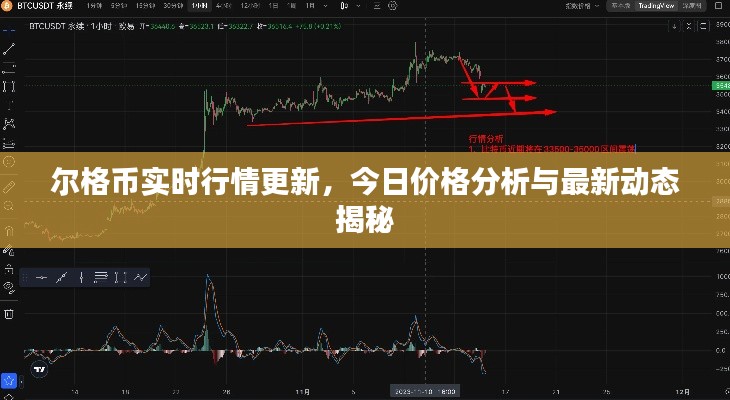 爾格幣實(shí)時行情更新，今日價格分析與最新動態(tài)揭秘