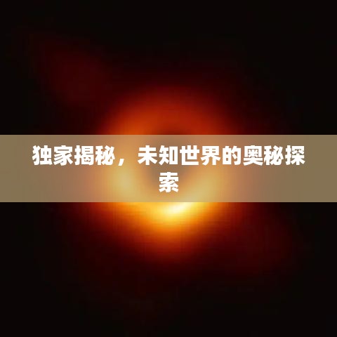 獨(dú)家揭秘，未知世界的奧秘探索