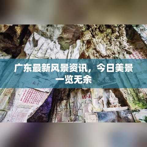 廣東最新風(fēng)景資訊，今日美景一覽無余