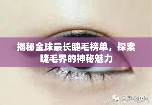 揭秘全球最長睫毛榜單，探索睫毛界的神秘魅力