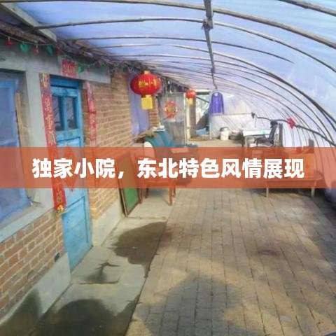 獨(dú)家小院，東北特色風(fēng)情展現(xiàn)