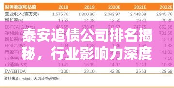 泰安追債公司排名揭秘，行業(yè)影響力深度解析