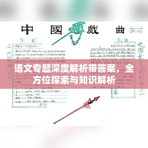 語文專題深度解析帶答案，全方位探索與知識解析