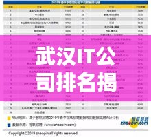 武漢IT公司排名揭秘，十大領(lǐng)先企業(yè)榜單