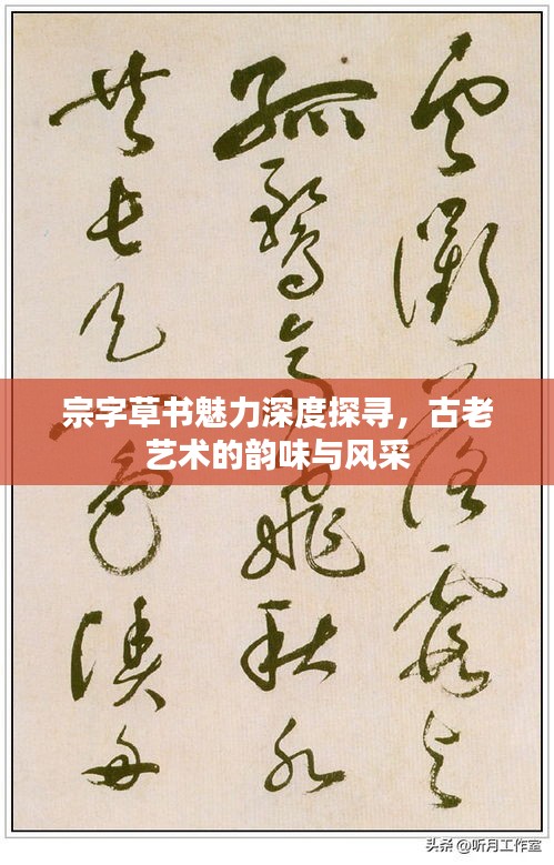 宗字草書魅力深度探尋，古老藝術(shù)的韻味與風(fēng)采