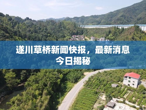 遂川草橋新聞快報(bào)，最新消息今日揭秘