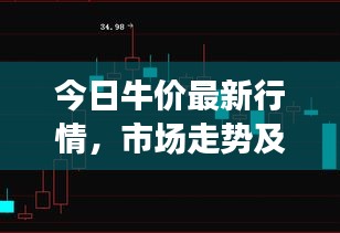 今日牛價(jià)最新行情，市場走勢(shì)及影響因素深度解析