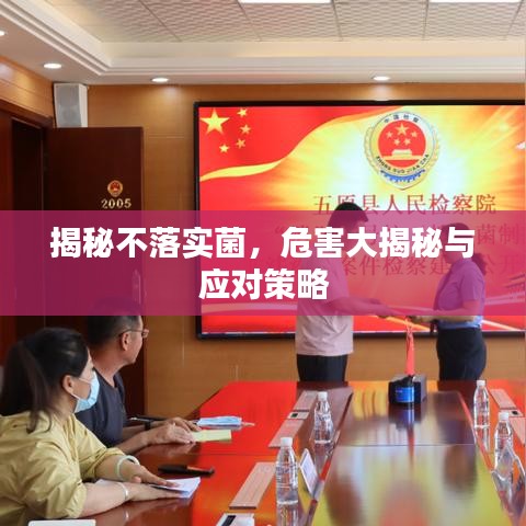揭秘不落實菌，危害大揭秘與應(yīng)對策略
