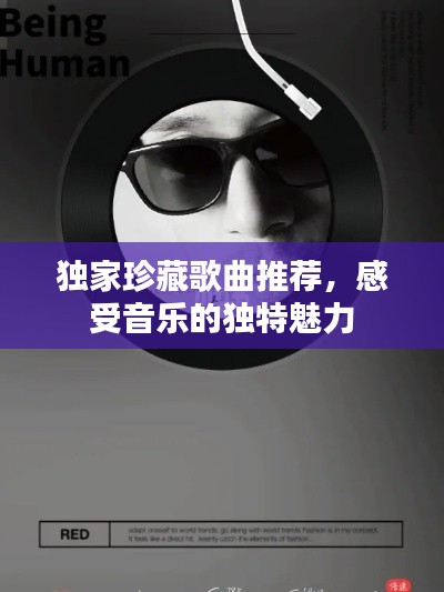 獨(dú)家珍藏歌曲推薦，感受音樂的獨(dú)特魅力