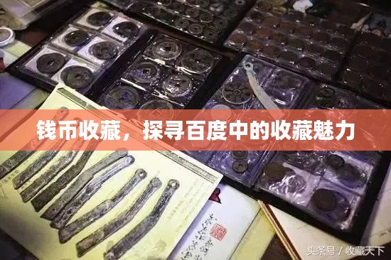 錢(qián)幣收藏，探尋百度中的收藏魅力