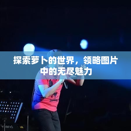 探索蘿卜的世界，領(lǐng)略圖片中的無(wú)盡魅力