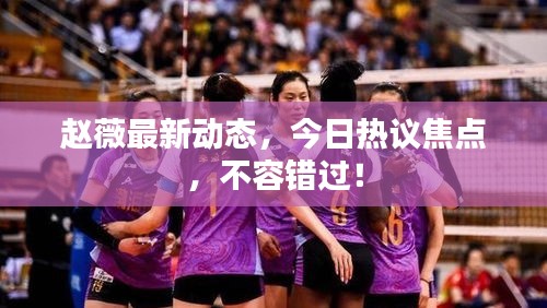 趙薇最新動態(tài)，今日熱議焦點(diǎn)，不容錯過！