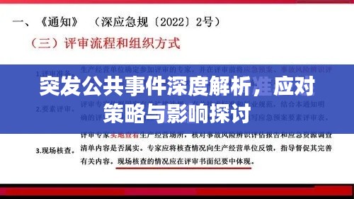 突發(fā)公共事件深度解析，應(yīng)對策略與影響探討
