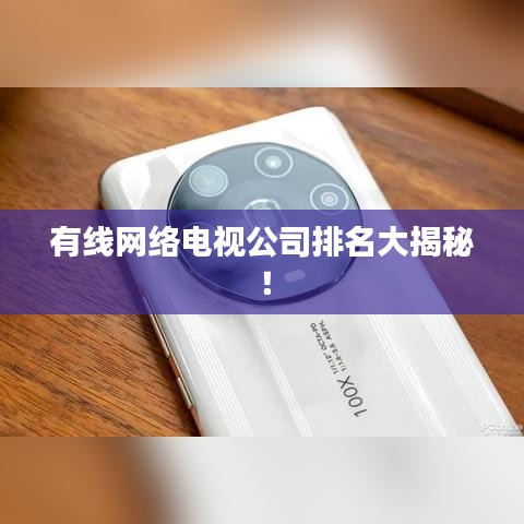 有線網(wǎng)絡(luò)電視公司排名大揭秘！
