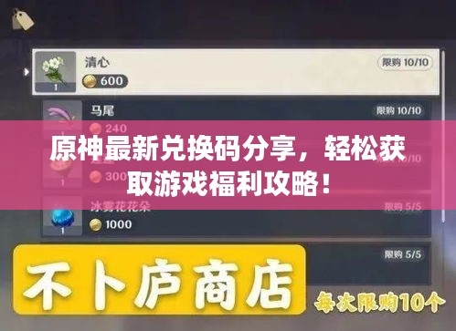 原神最新兌換碼分享，輕松獲取游戲福利攻略！