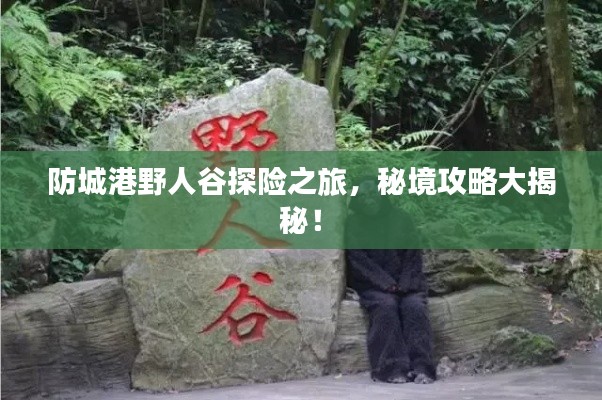 防城港野人谷探險(xiǎn)之旅，秘境攻略大揭秘！