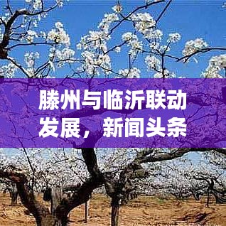 滕州與臨沂聯(lián)動(dòng)發(fā)展，新聞?lì)^條下的區(qū)域合作新篇章