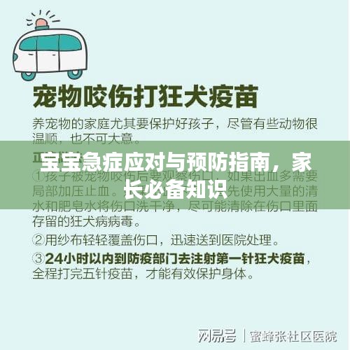寶寶急癥應(yīng)對與預(yù)防指南，家長必備知識