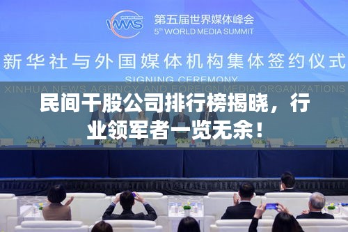 民間干股公司排行榜揭曉，行業(yè)領(lǐng)軍者一覽無余！