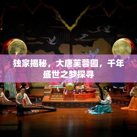 獨家揭秘，大唐芙蓉園，千年盛世之夢探尋