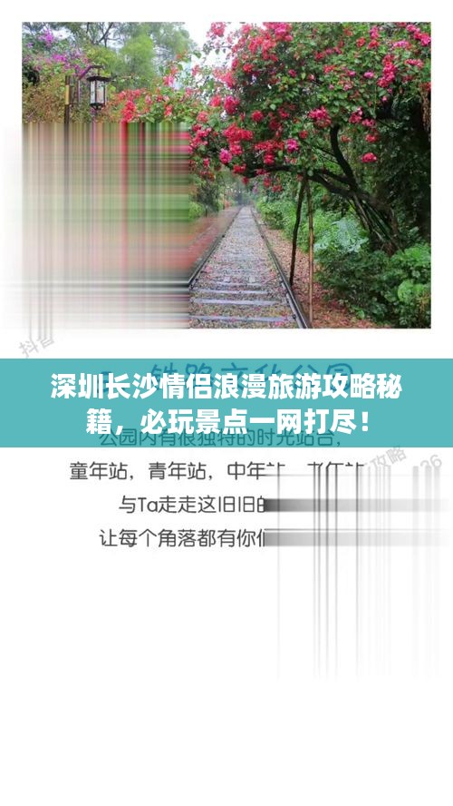 蟲(chóng)蝕鳥(niǎo)步