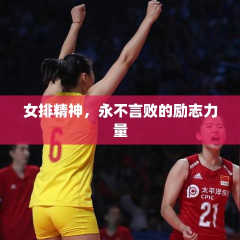 女排精神，永不言敗的勵(lì)志力量