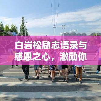 白巖松勵志語錄與感恩之心，激勵你前行的力量之源